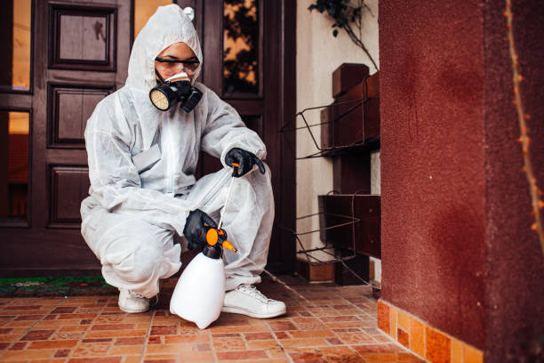 Attic and Crawl Space Rodent Treatment in Notasulga