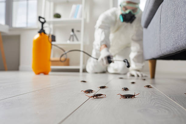 Commercial Rodent Management in Notasulga